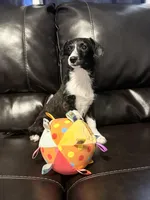 processed/84630c28-9928-4892-9186-8e26ec39d3ae/listing/eff7a56d-bc1b-4504-818b-0870657742c9/603edd71-c808-463e-bdd4-4b657dd047a5