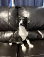 processed/84630c28-9928-4892-9186-8e26ec39d3ae/listing/eff7a56d-bc1b-4504-818b-0870657742c9/83592ef7-36e2-4ff8-8440-b92582e6a56a