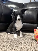 processed/84630c28-9928-4892-9186-8e26ec39d3ae/listing/eff7a56d-bc1b-4504-818b-0870657742c9/b92f4e9e-8b0b-4e97-9770-29cec1e11b56