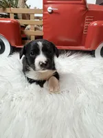 processed/84630c28-9928-4892-9186-8e26ec39d3ae/listing/eff7a56d-bc1b-4504-818b-0870657742c9/cb7fc755-97b9-4e49-9725-a574bb839cd0