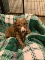 processed/8465efad-2391-4579-be6f-8d08ba722d34/listing/0074336d-ff3b-4292-9f7c-a8d87ad04f68/2d1a2fc6-33ce-448d-8812-f2b2a0362133