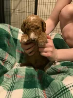 processed/8465efad-2391-4579-be6f-8d08ba722d34/listing/0074336d-ff3b-4292-9f7c-a8d87ad04f68/4c095888-4dc4-4b56-a828-0b2f11c8c997