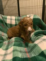 processed/8465efad-2391-4579-be6f-8d08ba722d34/listing/0074336d-ff3b-4292-9f7c-a8d87ad04f68/9c880205-b959-428c-bec5-a72aaf1f2728