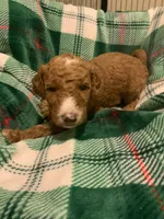 processed/8465efad-2391-4579-be6f-8d08ba722d34/listing/0074336d-ff3b-4292-9f7c-a8d87ad04f68/c3a2aa1b-f348-4bfc-8edd-cecf0c9ac30d