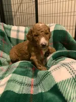 processed/8465efad-2391-4579-be6f-8d08ba722d34/listing/0074336d-ff3b-4292-9f7c-a8d87ad04f68/e46428fb-5b22-425e-a4da-956966a5c706