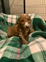 processed/8465efad-2391-4579-be6f-8d08ba722d34/listing/0074336d-ff3b-4292-9f7c-a8d87ad04f68/fc663674-2172-425c-a0fb-45813caa6a40