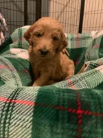 processed/8465efad-2391-4579-be6f-8d08ba722d34/listing/96d2f69d-1024-4441-a614-62a225c88da6/902818ee-0fcb-497d-a1e0-06a8a0f62ebd