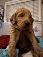 processed/8465efad-2391-4579-be6f-8d08ba722d34/listing/96d2f69d-1024-4441-a614-62a225c88da6/a7de669d-22fd-4ef5-b71c-cc7b2617b0d4