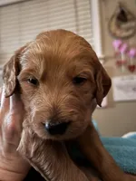 processed/8465efad-2391-4579-be6f-8d08ba722d34/listing/96d2f69d-1024-4441-a614-62a225c88da6/f9da66bc-3205-42eb-8b33-953a761ae921