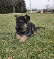 processed/846bd988-dc81-49ac-8fe3-564d1dcc743d/listing/9068b176-1061-4cb2-b4d7-4bffebaab108/0cb357c1-472d-4b58-9918-05fb016944dd