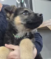 processed/846bd988-dc81-49ac-8fe3-564d1dcc743d/listing/9068b176-1061-4cb2-b4d7-4bffebaab108/209320a5-dc7b-4966-b2af-b61fa49737cc