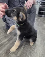 processed/846bd988-dc81-49ac-8fe3-564d1dcc743d/listing/9068b176-1061-4cb2-b4d7-4bffebaab108/575b5c47-43f0-48f4-a060-47ef8f6940c2