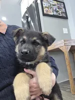 processed/846bd988-dc81-49ac-8fe3-564d1dcc743d/listing/9068b176-1061-4cb2-b4d7-4bffebaab108/7130d816-09a3-4ca4-a0a0-bb43d3bea945