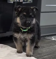 processed/846bd988-dc81-49ac-8fe3-564d1dcc743d/listing/9068b176-1061-4cb2-b4d7-4bffebaab108/891f8120-8b0b-43f4-ace6-28cd65721913