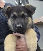 processed/846bd988-dc81-49ac-8fe3-564d1dcc743d/listing/9068b176-1061-4cb2-b4d7-4bffebaab108/a50ca6c2-f793-4788-a6d1-e98b20e9294f