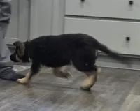 processed/846bd988-dc81-49ac-8fe3-564d1dcc743d/listing/9068b176-1061-4cb2-b4d7-4bffebaab108/cae87f1e-4cb5-4b55-a913-a5dac6ca9ea3