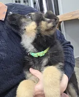 processed/846bd988-dc81-49ac-8fe3-564d1dcc743d/listing/9068b176-1061-4cb2-b4d7-4bffebaab108/cfbb38b5-ef75-4981-b356-e5ca0da279a5