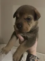 processed/846f51a8-7d48-4d6c-bb66-5c93505db191/listing/0172130d-181f-47b0-bbae-a11cc41ad67c/36de3178-d316-4647-a594-61bf3f1ac78a