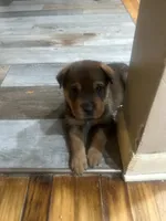 processed/846f51a8-7d48-4d6c-bb66-5c93505db191/listing/0172130d-181f-47b0-bbae-a11cc41ad67c/4f25cd56-0609-45a7-ba55-932b1f6c2c5a