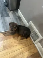 processed/846f51a8-7d48-4d6c-bb66-5c93505db191/listing/0172130d-181f-47b0-bbae-a11cc41ad67c/6c1fdedd-ef4f-47c0-9c59-e2d26e9e393f