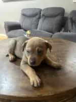 processed/846f51a8-7d48-4d6c-bb66-5c93505db191/listing/210f282f-adbb-4367-8a18-4d7302ff3e4a/65d0a6c2-fe3f-49d6-ba3c-5c7368e957fa