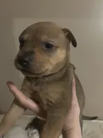 processed/846f51a8-7d48-4d6c-bb66-5c93505db191/listing/210f282f-adbb-4367-8a18-4d7302ff3e4a/9d421ffd-1f92-43a3-9dc1-30082e848977