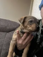 processed/846f51a8-7d48-4d6c-bb66-5c93505db191/listing/210f282f-adbb-4367-8a18-4d7302ff3e4a/baaa10a0-7b24-4508-b5a5-ec25473f367f