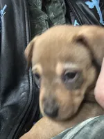 processed/846f51a8-7d48-4d6c-bb66-5c93505db191/listing/210f282f-adbb-4367-8a18-4d7302ff3e4a/bec93904-7343-4c20-a5b2-8ebc2dd5e8a4