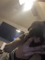 processed/846f51a8-7d48-4d6c-bb66-5c93505db191/listing/41237cfa-bfd1-4043-ace1-9bb3d3099289/6a3b88a2-d1cd-453e-8786-e11b2085eeb0