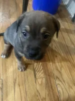 processed/846f51a8-7d48-4d6c-bb66-5c93505db191/listing/41237cfa-bfd1-4043-ace1-9bb3d3099289/9c150802-770e-480b-993b-e2a33cd43275