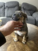 processed/846f51a8-7d48-4d6c-bb66-5c93505db191/listing/4a0c6984-1a8a-4a74-a23f-80d0734208a7/d09075a3-89ef-44c2-80e0-b6759373d6b9