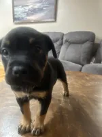 processed/846f51a8-7d48-4d6c-bb66-5c93505db191/listing/4e60bfd4-4ca0-456c-a88c-9b2f5cbeafed/00c4272b-c50b-4b4f-8598-382fc1d9a10d