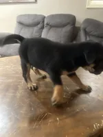 processed/846f51a8-7d48-4d6c-bb66-5c93505db191/listing/4e60bfd4-4ca0-456c-a88c-9b2f5cbeafed/068d5db2-e0d5-4e3b-801c-e99e39b2e5a2