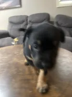 processed/846f51a8-7d48-4d6c-bb66-5c93505db191/listing/4e60bfd4-4ca0-456c-a88c-9b2f5cbeafed/3c24c5d3-deb6-4de8-a09b-1746740970d7