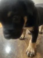 processed/846f51a8-7d48-4d6c-bb66-5c93505db191/listing/4e60bfd4-4ca0-456c-a88c-9b2f5cbeafed/8da27416-7764-4945-a974-a79f0e284b78