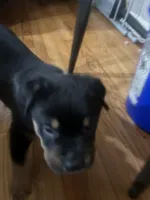 processed/846f51a8-7d48-4d6c-bb66-5c93505db191/listing/4e60bfd4-4ca0-456c-a88c-9b2f5cbeafed/e120f6ed-e4af-4d7d-bf00-808e4d360fa1