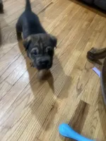 processed/846f51a8-7d48-4d6c-bb66-5c93505db191/listing/73d62f4b-d375-4419-93cc-e121b3d3764a/33a347e0-6721-4cd2-9542-67d00c704d84