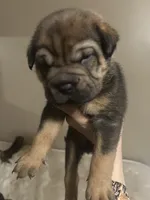 processed/846f51a8-7d48-4d6c-bb66-5c93505db191/listing/73d62f4b-d375-4419-93cc-e121b3d3764a/50140c6a-de89-4b2b-9d80-78a08b0ece72