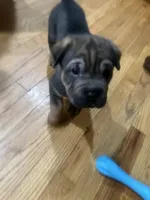 processed/846f51a8-7d48-4d6c-bb66-5c93505db191/listing/73d62f4b-d375-4419-93cc-e121b3d3764a/992f87b3-a8f7-47c8-89de-a5f41fddd182