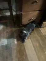 processed/846f51a8-7d48-4d6c-bb66-5c93505db191/listing/78b52010-0dde-40a1-8b8f-90d95160c670/03335701-0d43-4f19-a917-1fb665fc8aac