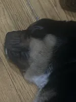 processed/846f51a8-7d48-4d6c-bb66-5c93505db191/listing/78b52010-0dde-40a1-8b8f-90d95160c670/1e5198f2-6f7f-452a-ab3a-c69d4f081ee7