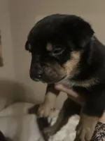 processed/846f51a8-7d48-4d6c-bb66-5c93505db191/listing/78b52010-0dde-40a1-8b8f-90d95160c670/66a39605-d9c3-4f66-8720-394081ee574b