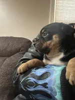 processed/846f51a8-7d48-4d6c-bb66-5c93505db191/listing/78b52010-0dde-40a1-8b8f-90d95160c670/97749381-e75d-44e4-9e58-18eae68b1280