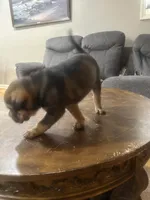 processed/846f51a8-7d48-4d6c-bb66-5c93505db191/listing/96b921f3-b000-4639-8c99-4bc7692ed951/78b8ef5e-f3e6-4660-a489-0a355f7ecb57