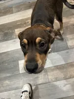 processed/846f51a8-7d48-4d6c-bb66-5c93505db191/listing/9bc84b3c-5ca3-4ccb-9bf7-b5e50a6b5208/15d5b1e4-ba3c-42fc-ad2e-ec65514c5abe