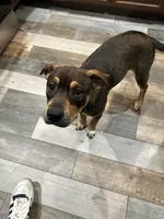 processed/846f51a8-7d48-4d6c-bb66-5c93505db191/listing/9bc84b3c-5ca3-4ccb-9bf7-b5e50a6b5208/4afa2fc5-6591-4703-bed0-234fcb95e1dc