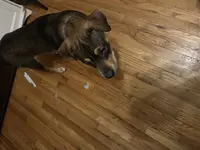 processed/846f51a8-7d48-4d6c-bb66-5c93505db191/listing/9bc84b3c-5ca3-4ccb-9bf7-b5e50a6b5208/a343075f-840f-4f8a-949a-32d2c0d88c7d