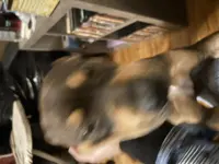 processed/846f51a8-7d48-4d6c-bb66-5c93505db191/listing/9bc84b3c-5ca3-4ccb-9bf7-b5e50a6b5208/aacaf23c-262a-457f-8cc6-9365413f5d71