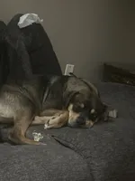 processed/846f51a8-7d48-4d6c-bb66-5c93505db191/listing/9bc84b3c-5ca3-4ccb-9bf7-b5e50a6b5208/faab42d5-adc0-4127-a1cf-748612b9245f