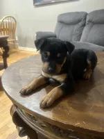 processed/846f51a8-7d48-4d6c-bb66-5c93505db191/listing/ab3a9a67-83ed-47d3-a477-9c7f2f37a527/1855a2fd-c9eb-4273-b69d-c9347ecf0f3b